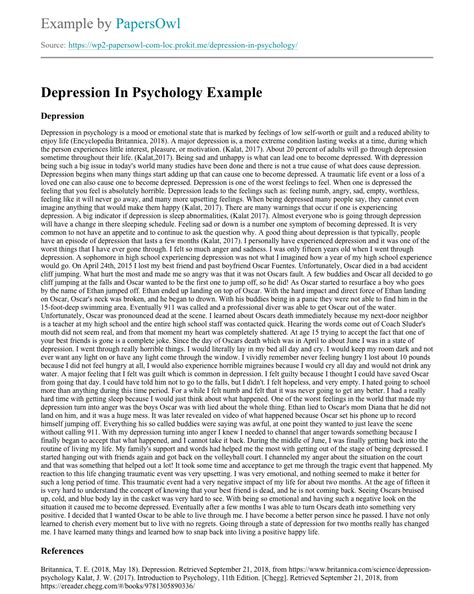 Essay About Depression